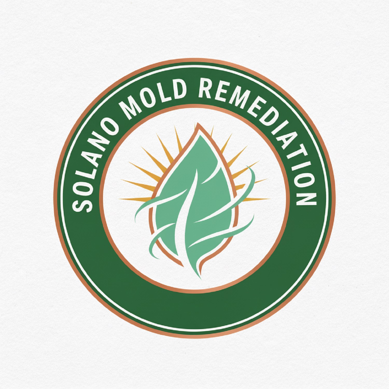Solano Mold Remediation