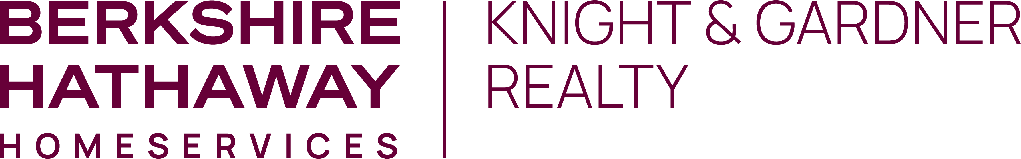 Angie Will, Realtor