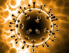 American Biotech News