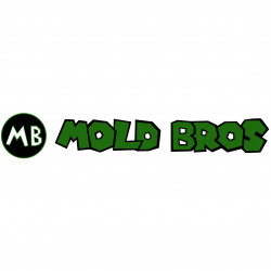 Mold Removal In Maine
