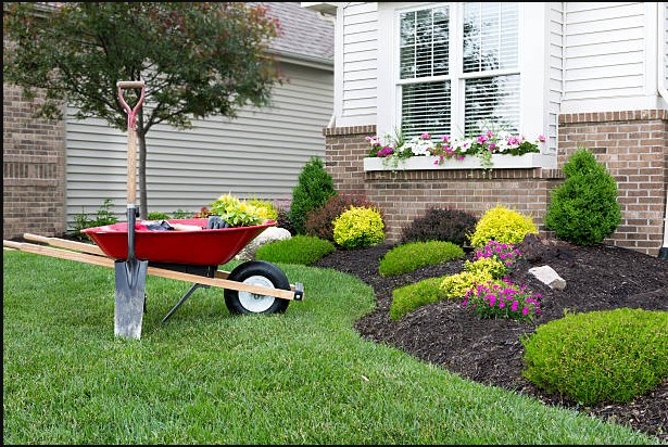 Baytown Landscaping