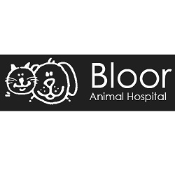 Bloor Animal Hospital