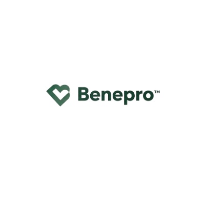 BENEPRO The Benefit Professionals