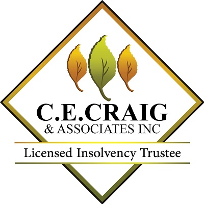 C. E. Craig & Associates Inc.