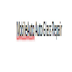 mobileautoautoglassrepair