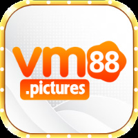 vm88pictures