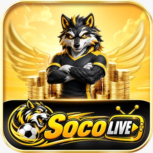 socolivekz