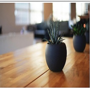 Halifax Plumbing Pros