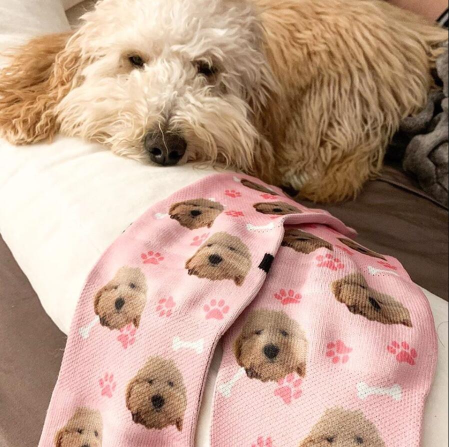 funnypetsocks