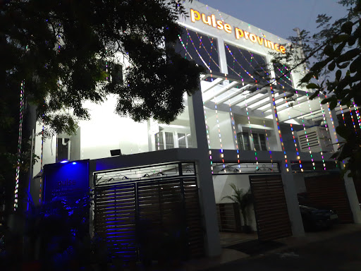 Pulse Telesystems Private Limited