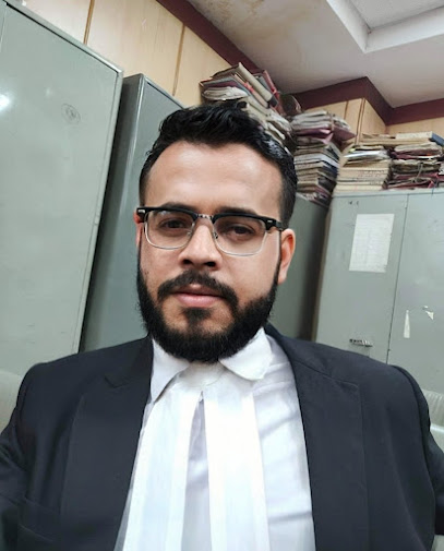 Court Marriage Advocate Hanit Vashisht