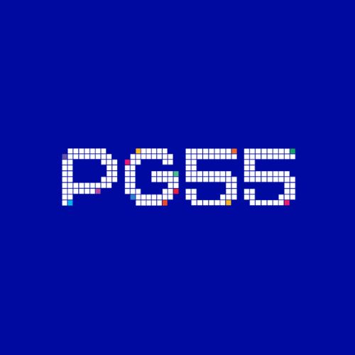 paypg555com 