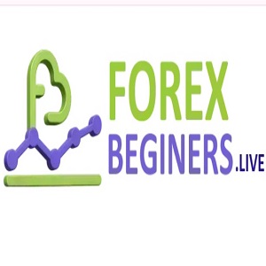 Forex Beginner