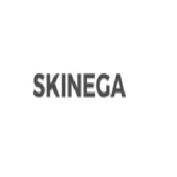 Skinega