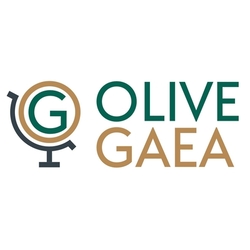 olive gachara net worth