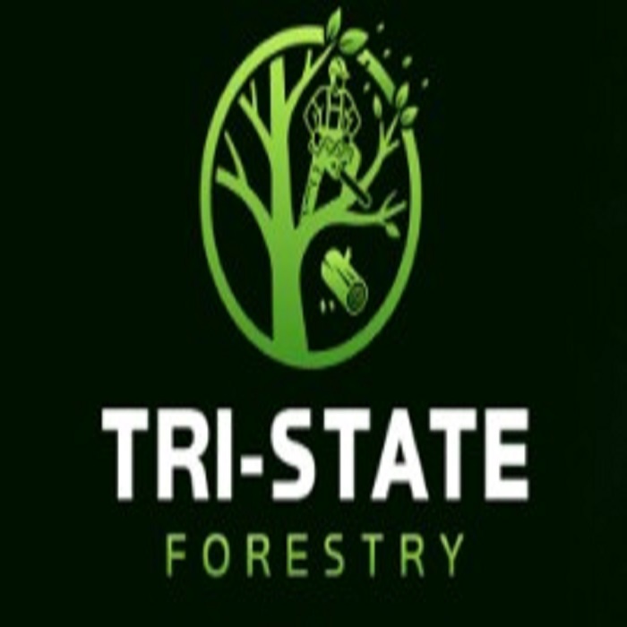 Tri-State Forestry