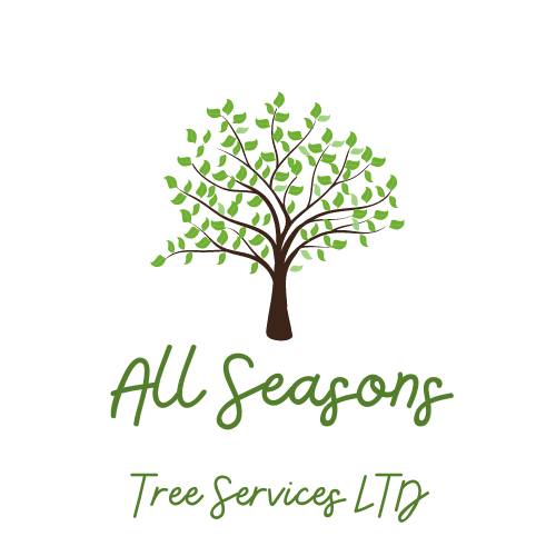location logo