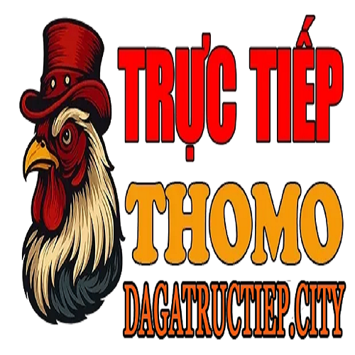 ĐÁ GÀ TRỰC TIẾP