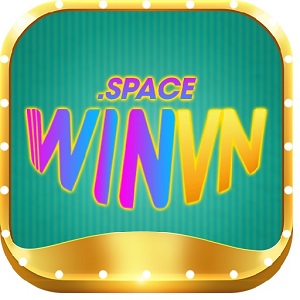 winvnspace winvnspace