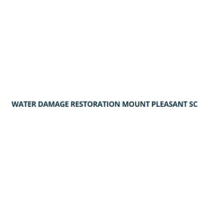 Water Damage Restoration Mount Pleasant SC