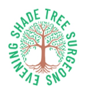 Evening Shade Tree Surgeons