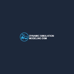 Dynamic Simulation Modeling DSM Ltd