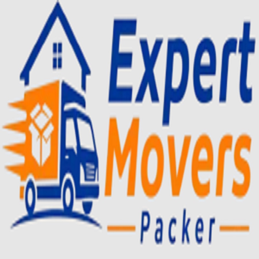 Expert Movers Packer