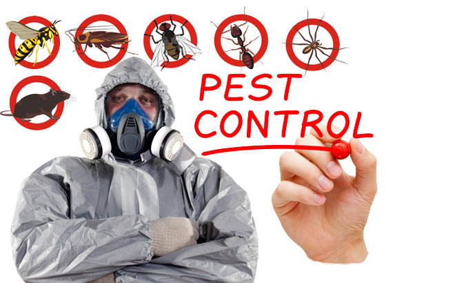 Hellopestcontrol
