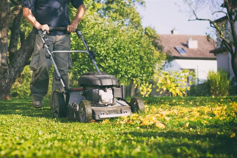 lawnmowingadelaide1