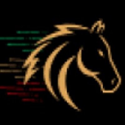 RaceX LLC-FZ