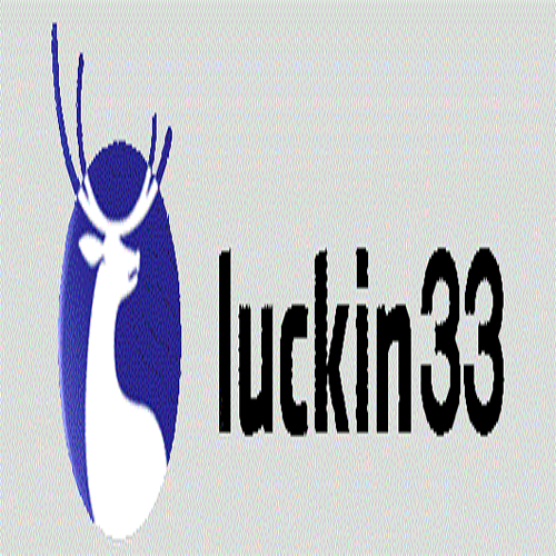 LUCKIN33 co