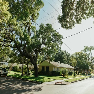 Newport2233