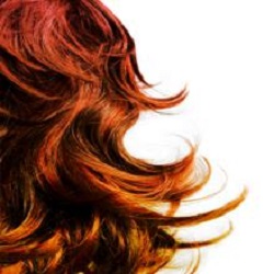 Wigs Amor