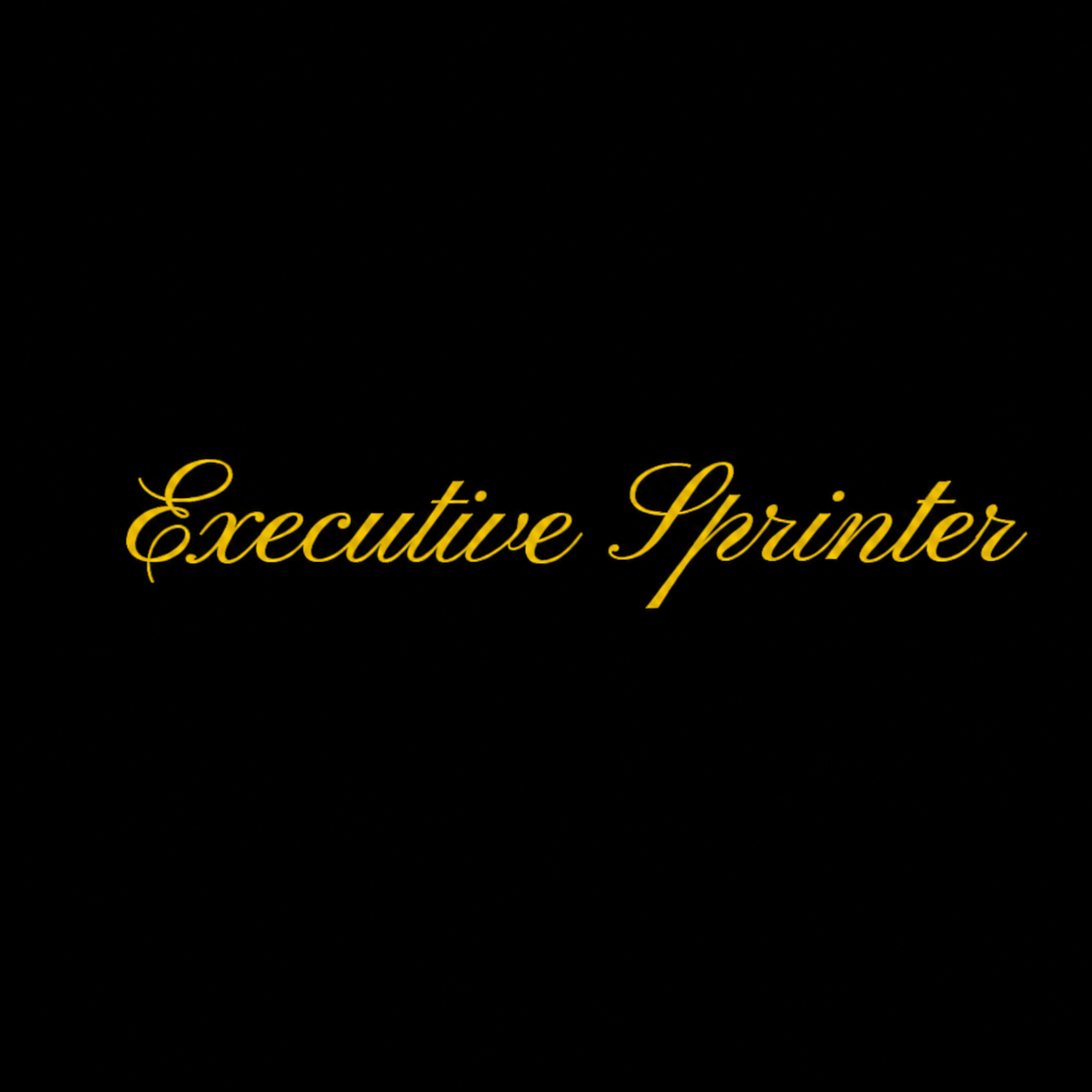 Executive Sprinter NYC