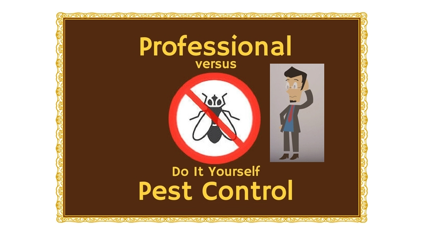 Pest Care UAE