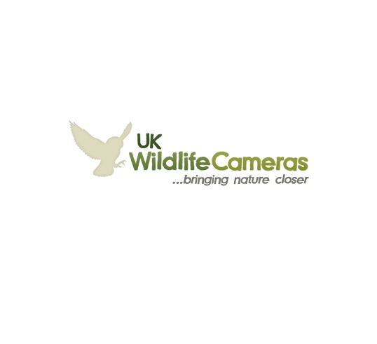 UK Wildlife Cameras