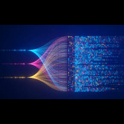 syntheticpassportdatasets