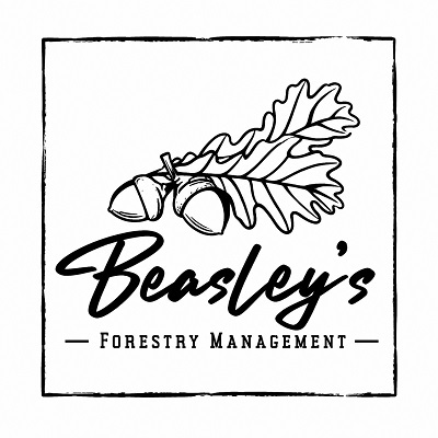 Beasley’s Forestry Management