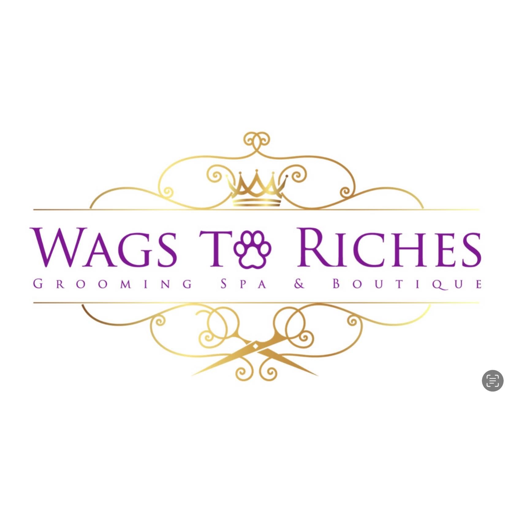 Wags To Riches