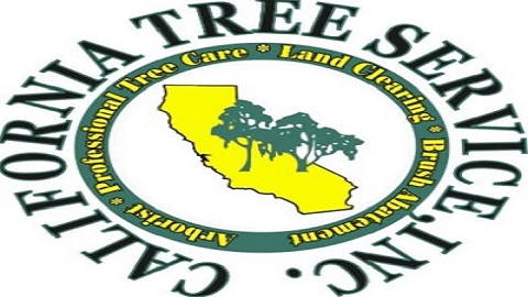 Tree Removal in CA