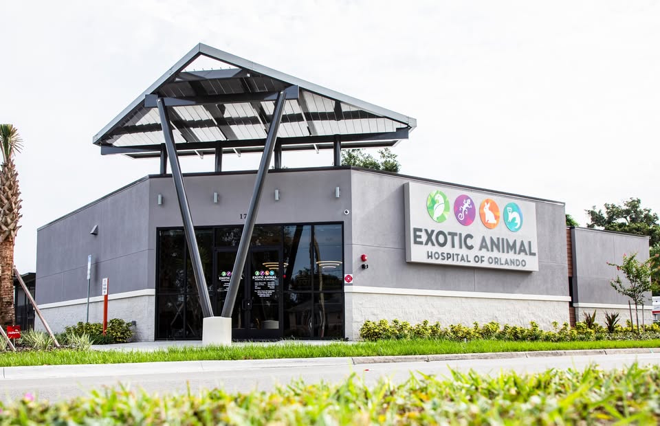 Exotic Animal Hospital of Orlando