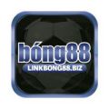 bong88