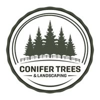 Conifer Trees & Landscaping