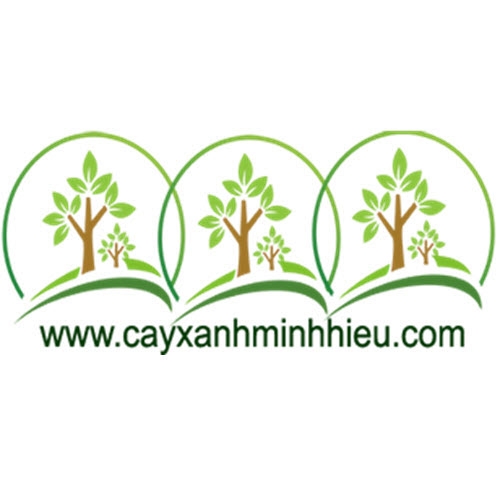 Cây xanh Minh Hiếu