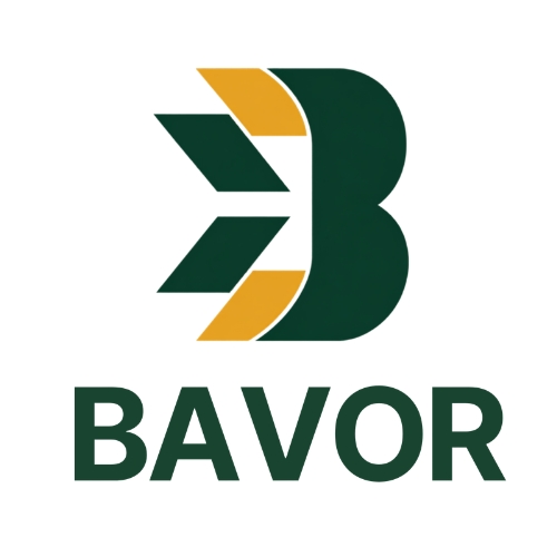 BAVOR CONSULTING
