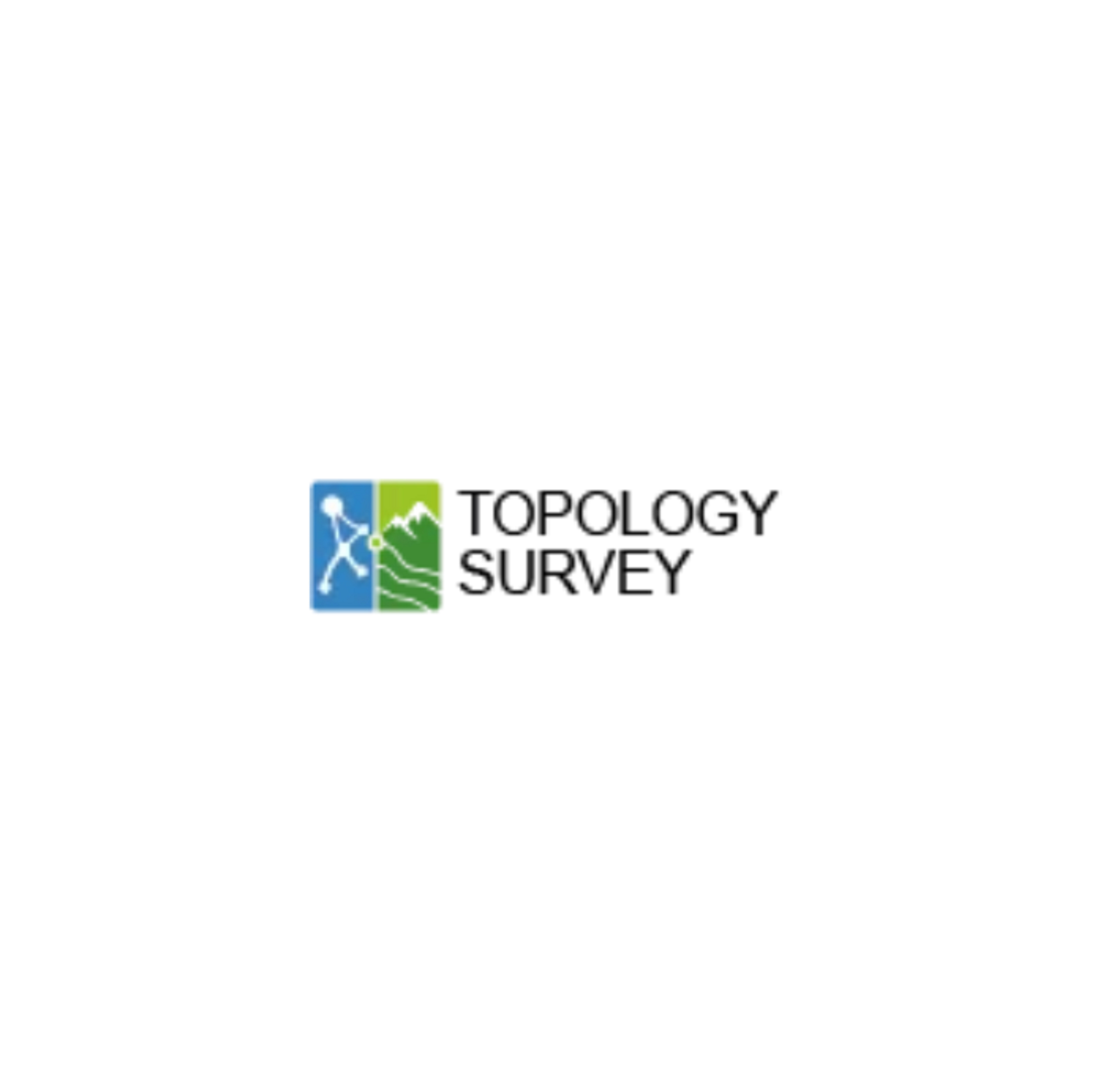 Topology Survey Ltd