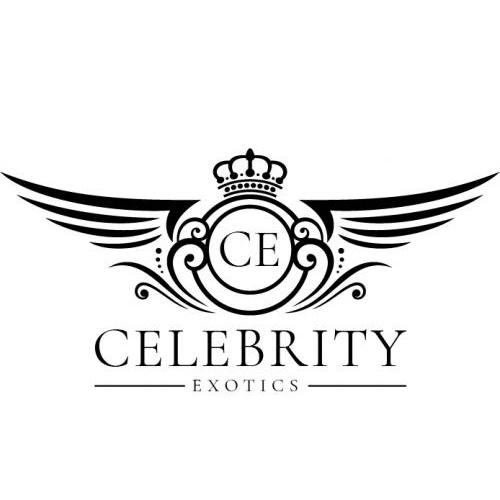 Celebrity Exotic Rentals