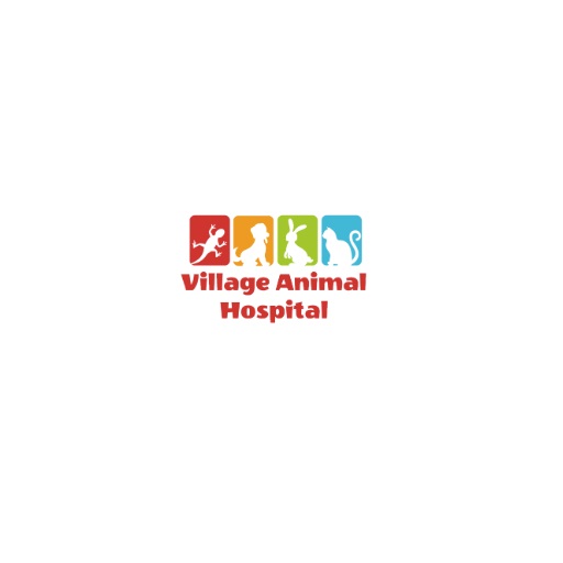 Village Animal Hospital
