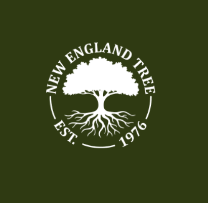 New England Tree
