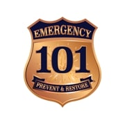 Emergency 101